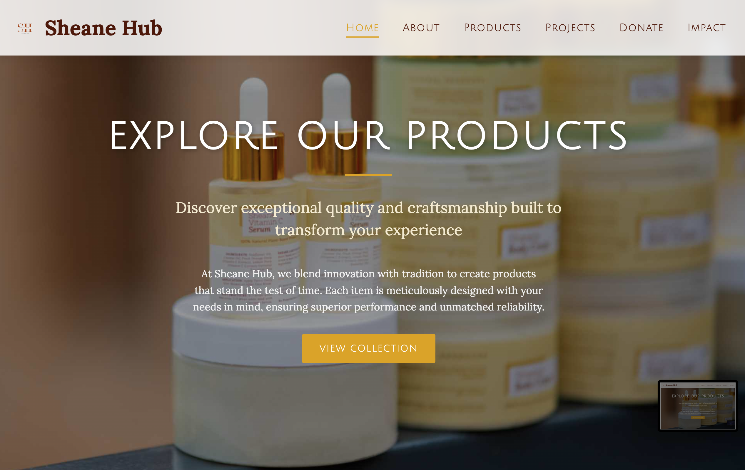 E-commerce platform designed and developed by Dannels Okoro